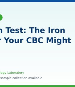 ferritin test normal range for iron deficiency screening